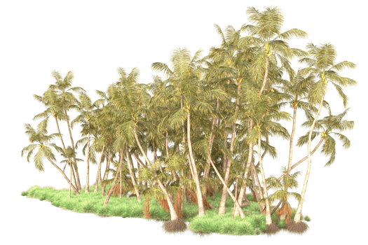 Tropical forest isolated on transparent background. 3d rendering - illustration png