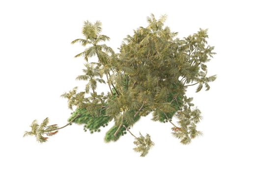 Tropical forest isolated on transparent background. 3d rendering - illustration png