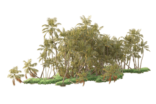 Tropical forest isolated on transparent background. 3d rendering - illustration png