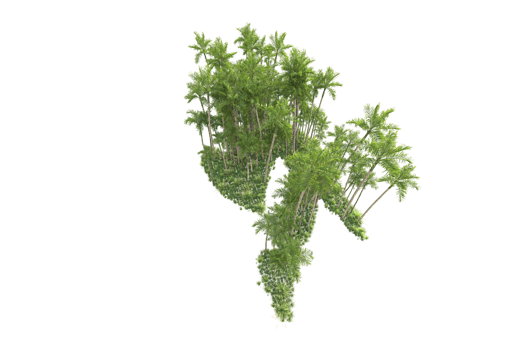 Tropical forest isolated on transparent background. 3d rendering - illustration png