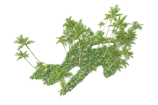 Tropical forest isolated on transparent background. 3d rendering - illustration png