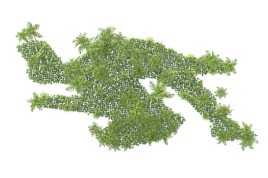 Tropical forest isolated on transparent background. 3d rendering - illustration png