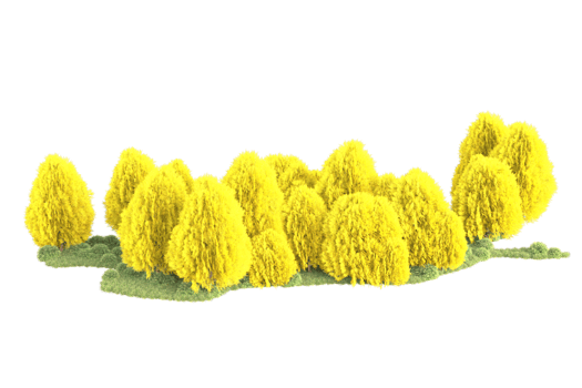 Tropical forest isolated on transparent background. 3d rendering - illustration png
