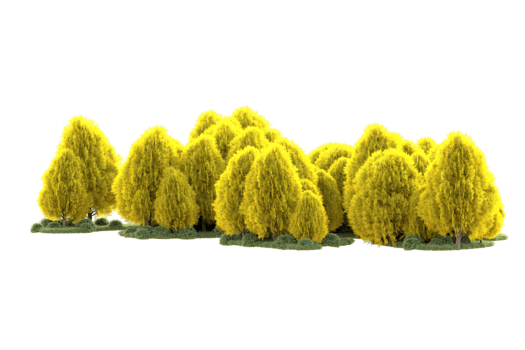 Tropical forest isolated on transparent background. 3d rendering - illustration png