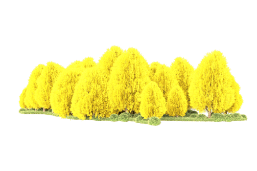 Tropical forest isolated on transparent background. 3d rendering - illustration png