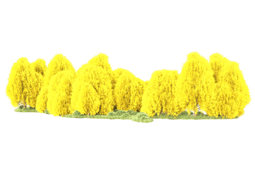 Tropical forest isolated on transparent background. 3d rendering - illustration png