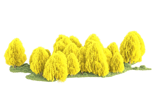 Tropical forest isolated on transparent background. 3d rendering - illustration png