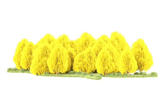 Tropical forest isolated on transparent background. 3d rendering - illustration png