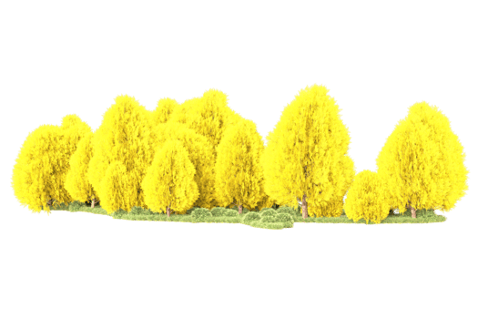 Tropical forest isolated on transparent background. 3d rendering - illustration png