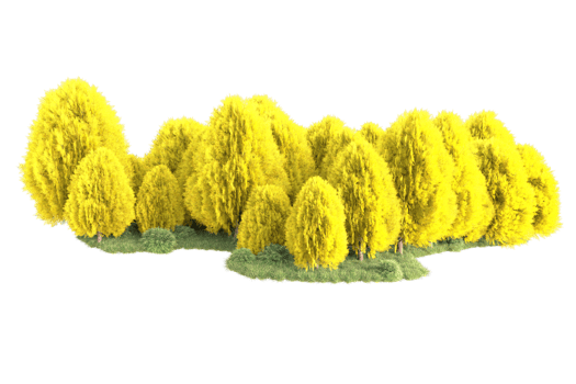 Tropical forest isolated on transparent background. 3d rendering - illustration png