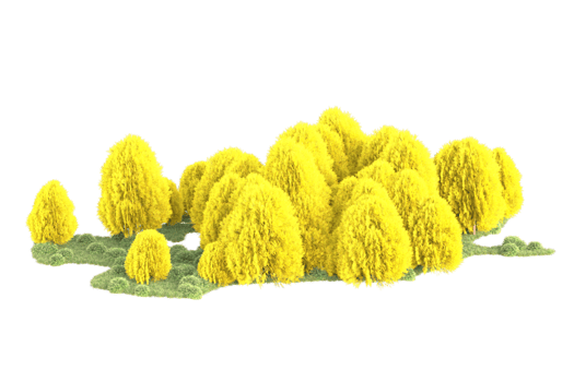 Tropical forest isolated on transparent background. 3d rendering - illustration png