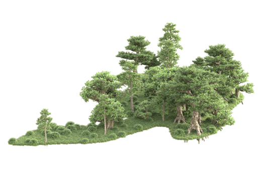 Tropical forest isolated on transparent background. 3d rendering - illustration png