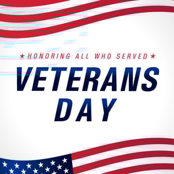 Happy Veterans Day USA typographic banner. vector