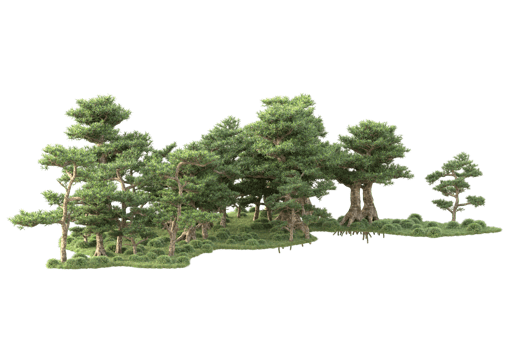 Tropical forest isolated on transparent background. 3d rendering - illustration png