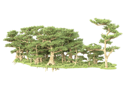 Tropical forest isolated on transparent background. 3d rendering - illustration png