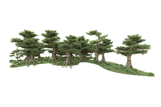 Tropical forest isolated on transparent background. 3d rendering - illustration png