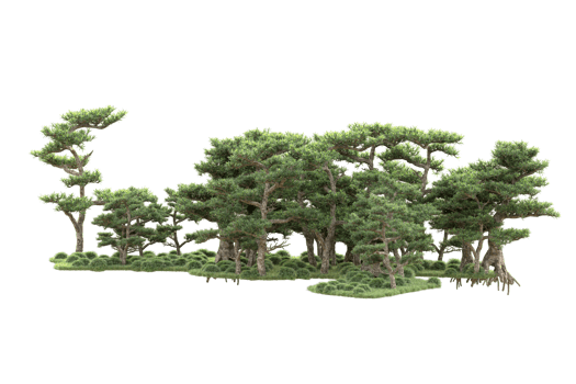 Tropical forest isolated on transparent background. 3d rendering - illustration png