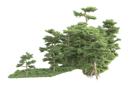 Tropical forest isolated on transparent background. 3d rendering - illustration png