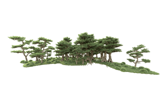 Tropical forest isolated on transparent background. 3d rendering - illustration png