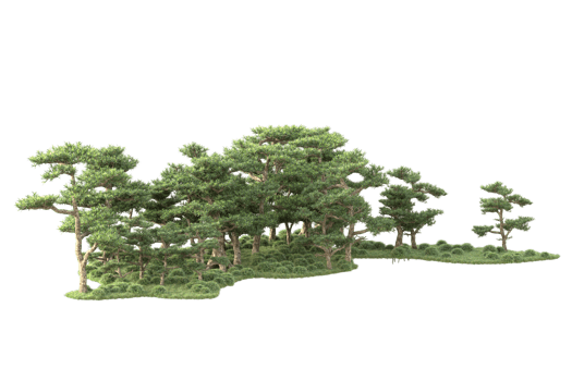 Tropical forest isolated on transparent background. 3d rendering - illustration png