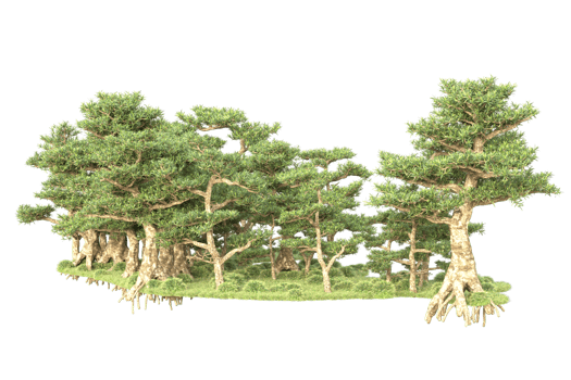 Tropical forest isolated on transparent background. 3d rendering - illustration png
