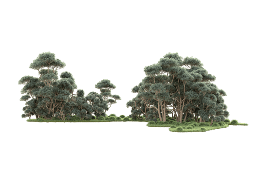Tropical forest isolated on transparent background. 3d rendering - illustration png