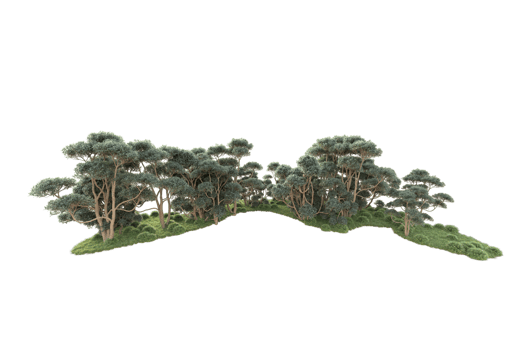 Tropical forest isolated on transparent background. 3d rendering - illustration png