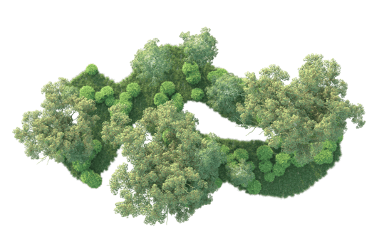 Tropical forest isolated on transparent background. 3d rendering - illustration png