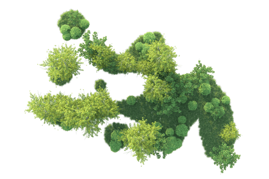 Tropical forest isolated on transparent background. 3d rendering - illustration png