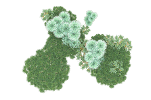 Tropical forest isolated on transparent background. 3d rendering - illustration png