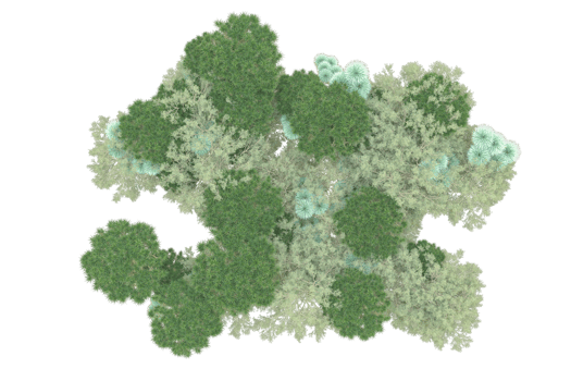 Tropical forest isolated on transparent background. 3d rendering - illustration png