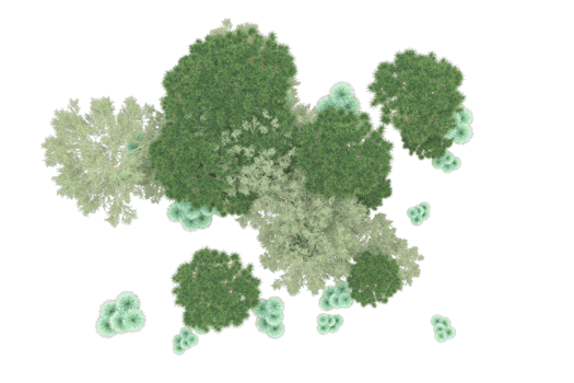 Tropical forest isolated on transparent background. 3d rendering - illustration png