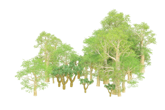 Tropical forest isolated on transparent background. 3d rendering - illustration png
