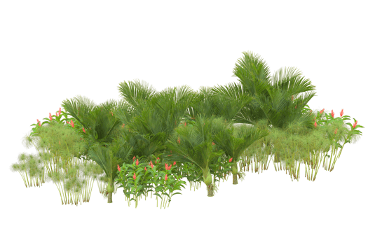 Tropical forest isolated on transparent background. 3d rendering - illustration png