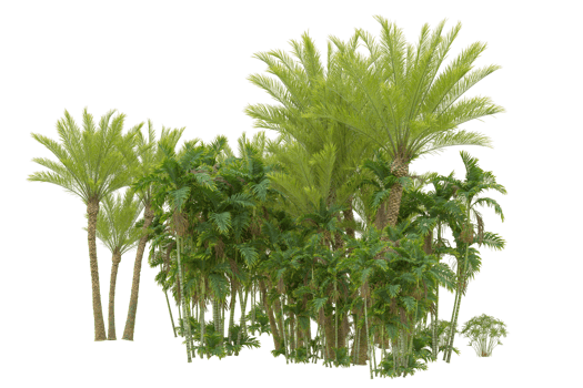 Realistic forest isolated on transparent background. 3d rendering - illustration png