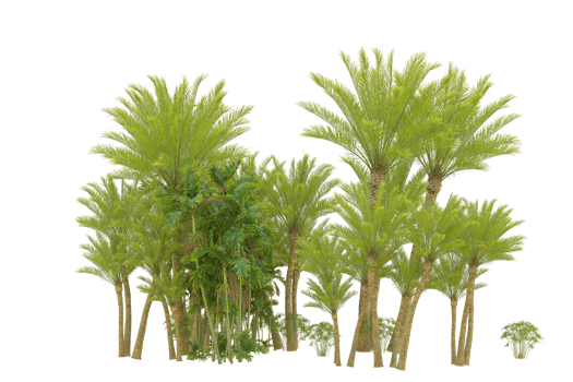 Realistic forest isolated on transparent background. 3d rendering - illustration png