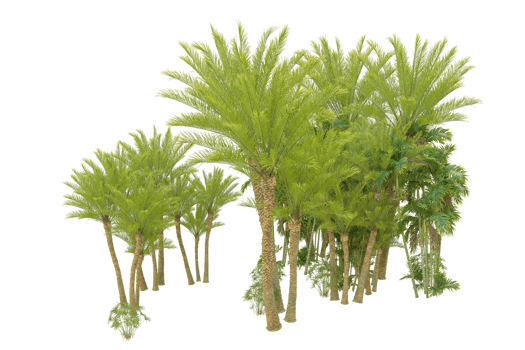 Realistic forest isolated on transparent background. 3d rendering - illustration png
