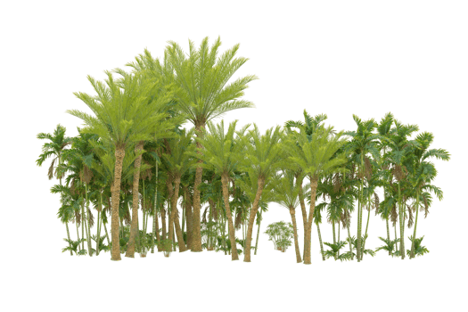 Realistic forest isolated on transparent background. 3d rendering - illustration png