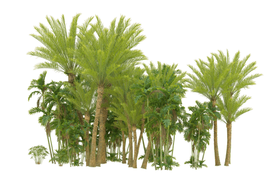 Realistic forest isolated on transparent background. 3d rendering - illustration png
