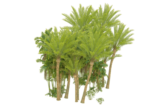 Realistic forest isolated on transparent background. 3d rendering - illustration png