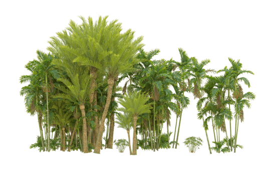 Realistic forest isolated on transparent background. 3d rendering - illustration png