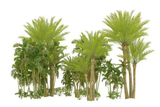 Realistic forest isolated on transparent background. 3d rendering - illustration png