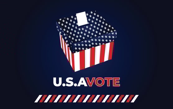 Presidental Election USA American Vote vector