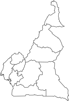 Map of Cameroon with detailed country map, line map. png