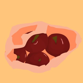 Red Apples in a Plastic Bag Vector Illustration
