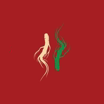 Ginseng vector icon illustration design