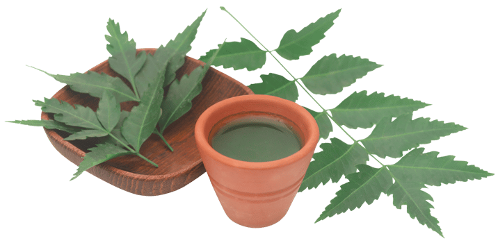 Medicinal neem leaves with extract png