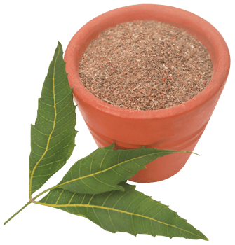 Medicinal neem leaves with powder png
