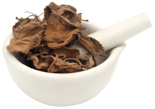 Dried oregano leaves png
