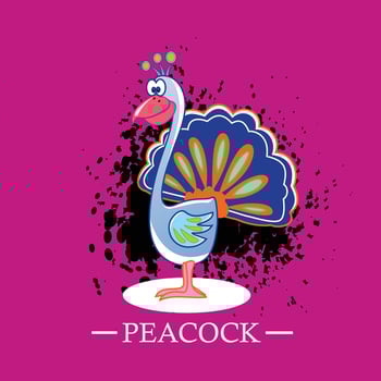 peacock slogan tee graphic typography for print t shirt, illustration,stock vector,art,style vector